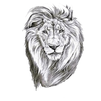 ИП КИРИЛЛОВА ГАЛИНА ВАСИЛЬЕВНА